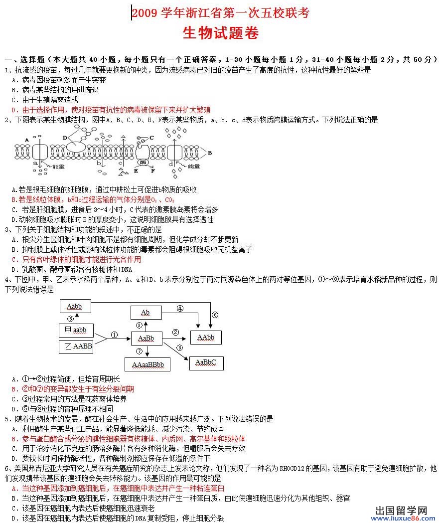 20120608095859332.jpg