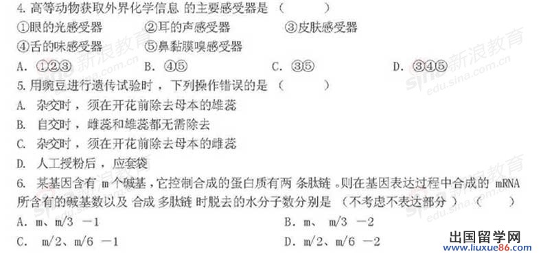 20120608125344239.jpg