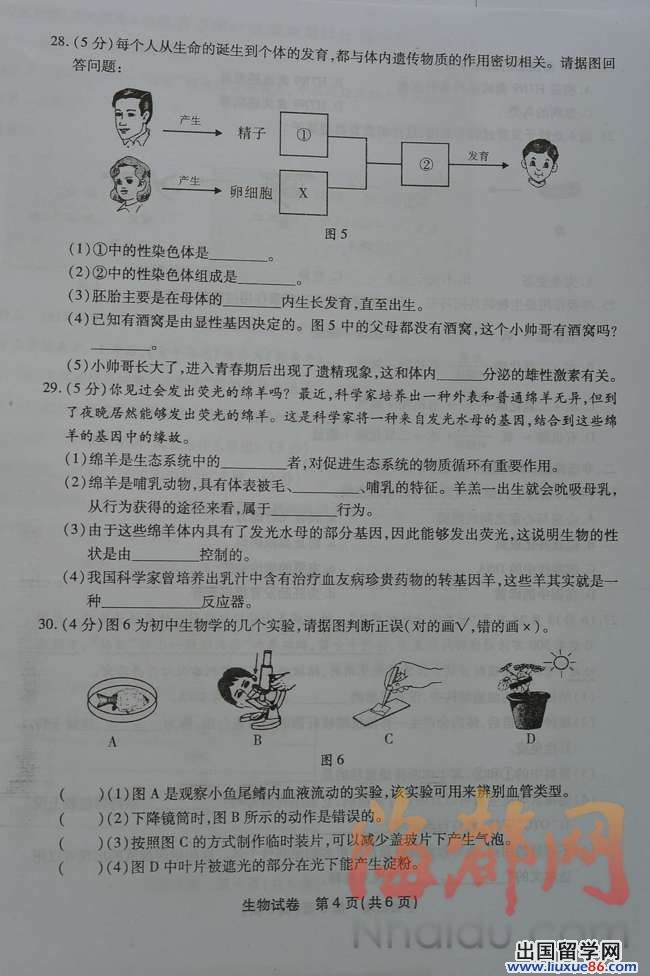 2013福州中考生物 试题答案