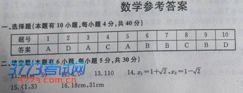 2013温州中考数学答案