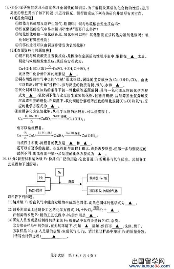 2013泰州中考化学 试题