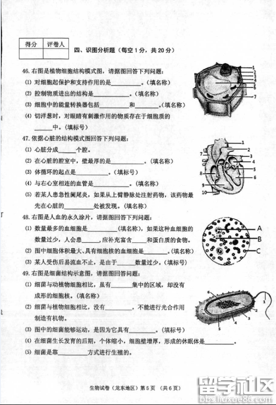 2016龙东地区中考生物试题及答案