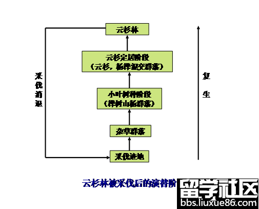 2013年成考专升本《生态学基础》复习：第十章  群落的动态