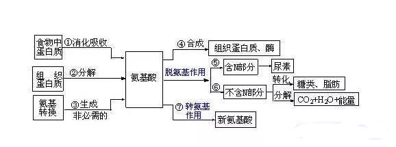 高三生物复习知识点归纳总结