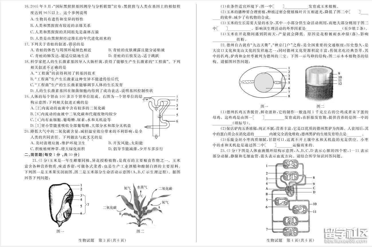 af4b561c8769fb07b175a412b6eba8ef.jpg