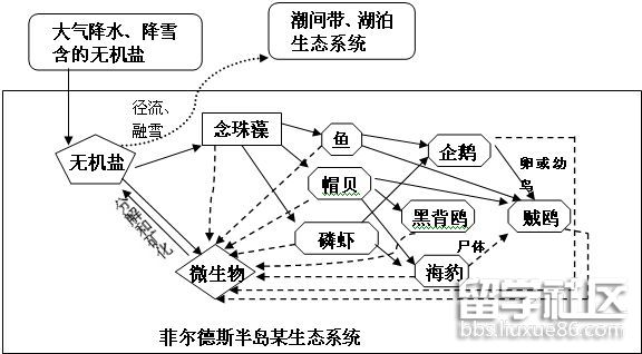 生态系统概念.jpg