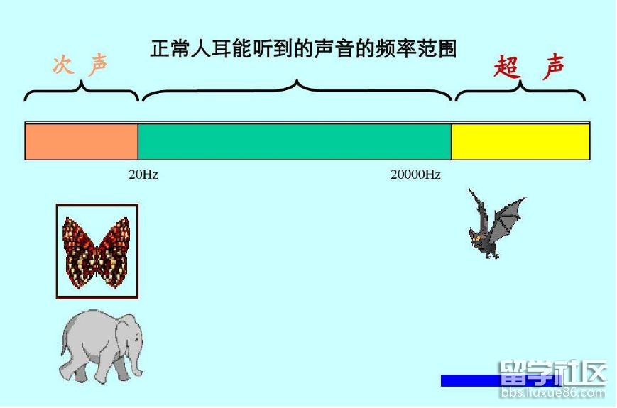 超声波 次声波.png