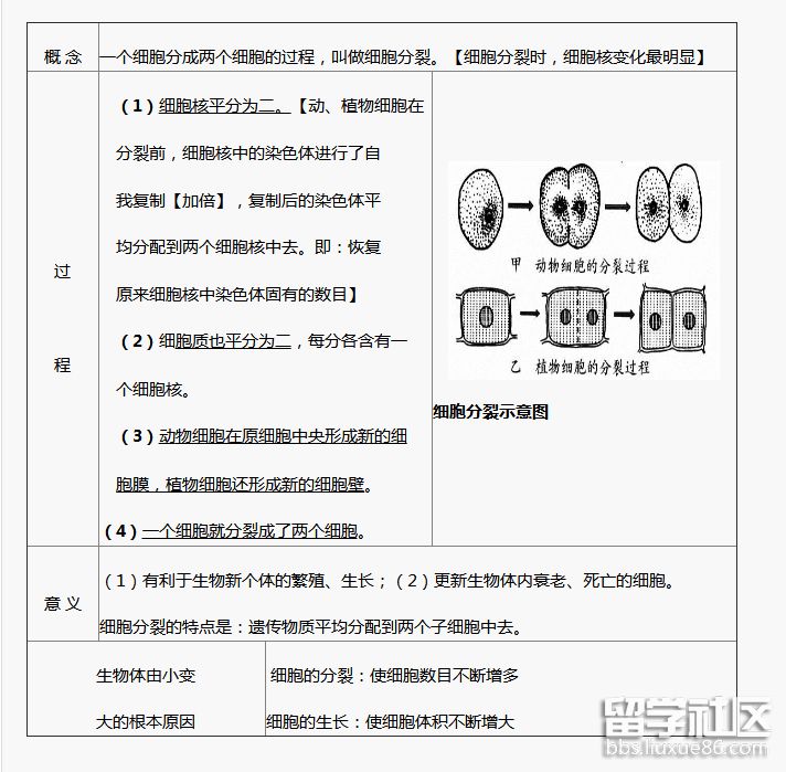 细胞222.png