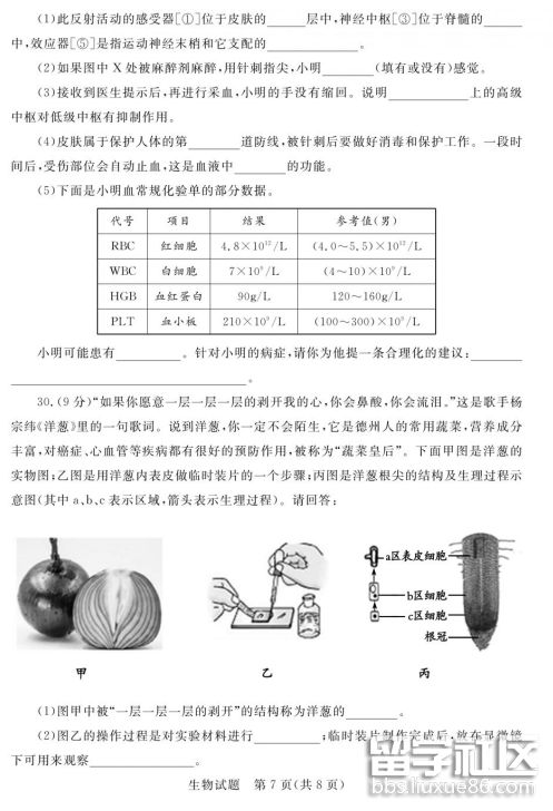 QQ截图20180614164207.png