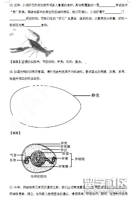 QQ截图20180724153938.png