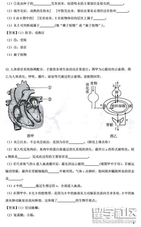 QQ截图20180724161013.png