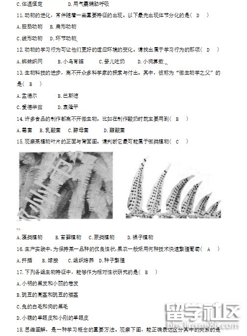 QQ截图20180724153658.png