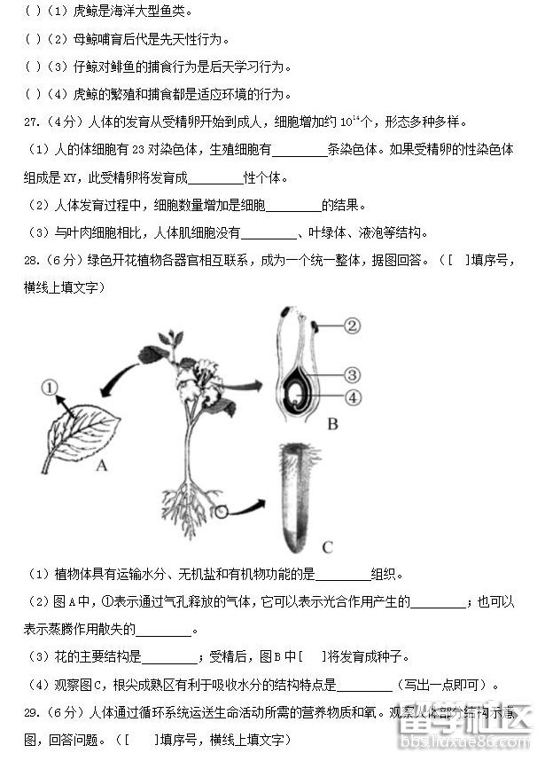 QQ截图20180804081216.png