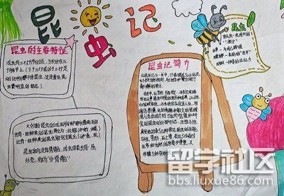 昆虫记手抄报简单又漂亮（2）.jpg